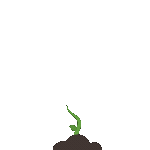 loader image